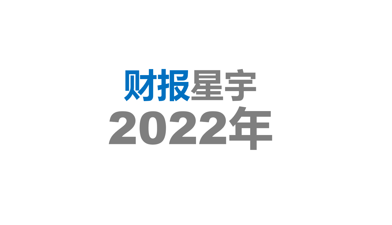 星宇股份2022年财报