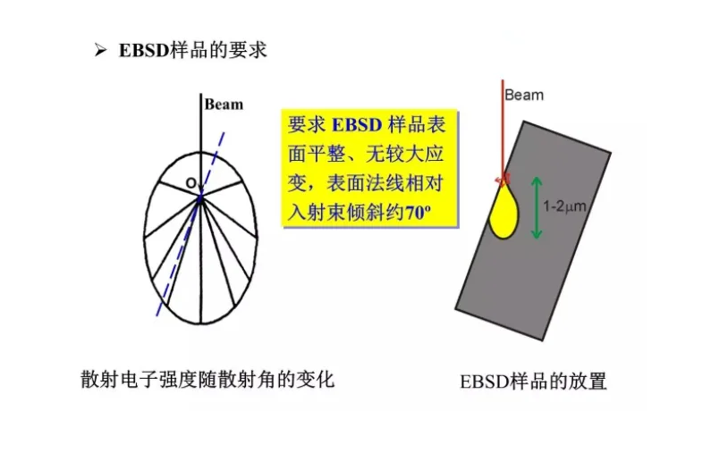 电子背散射衍射(EBSD)的应用及制样