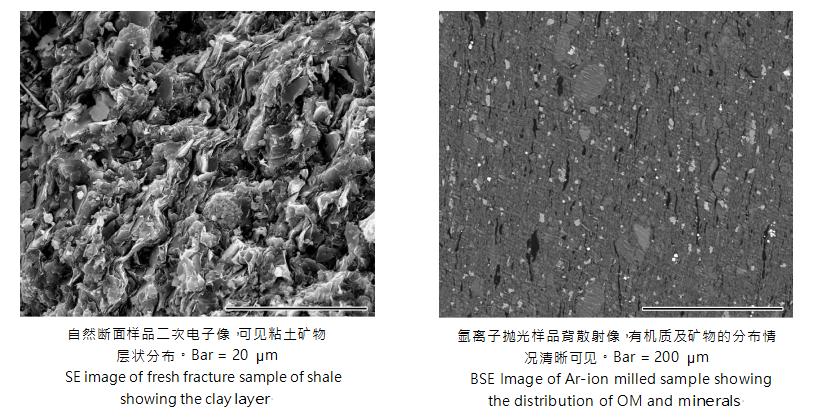泥页岩样品自然断面与氩离子抛光扫描电镜制样方法的比较与应用