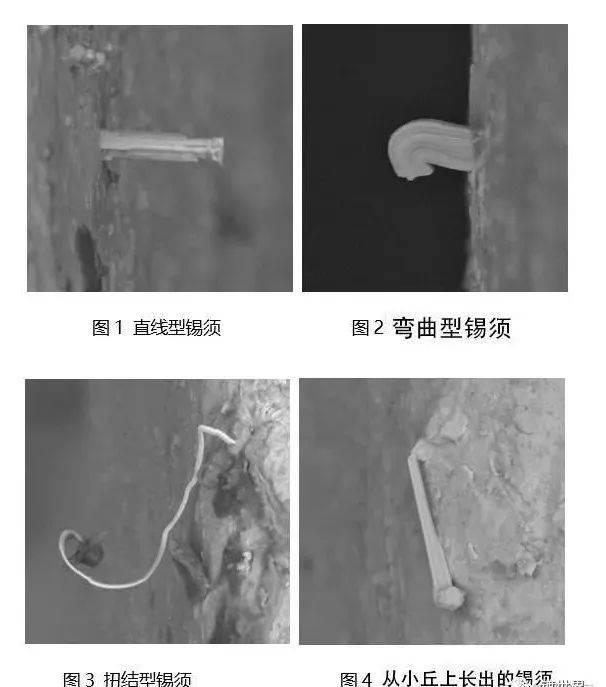 锡须的原由以及处理方法