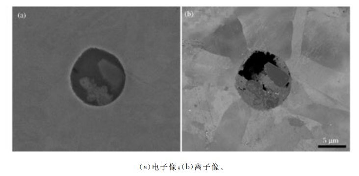 聚焦离子束技术在钢铁材料复合夹杂物加工中的应用与结构分析