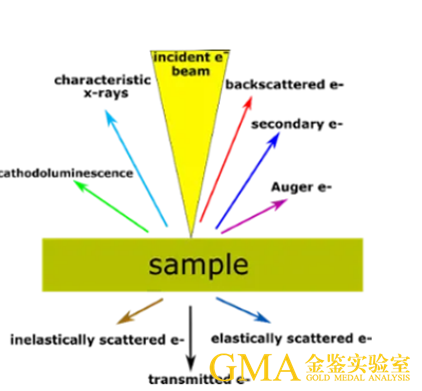 扫描电镜中的能谱（EDX）是如何工作的？