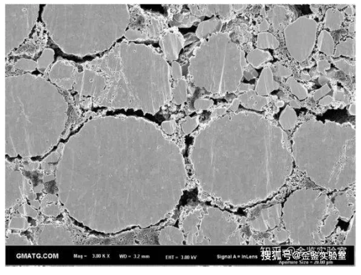 锂电池电极片微观结构：氩离子抛光SEM电镜测试效果展示