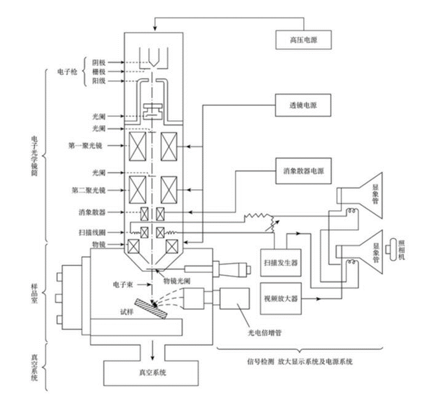 什么是扫描电镜（SEM）？