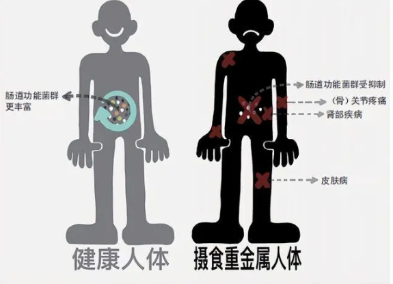 金属材料中有害化学元素的风险与检测标准