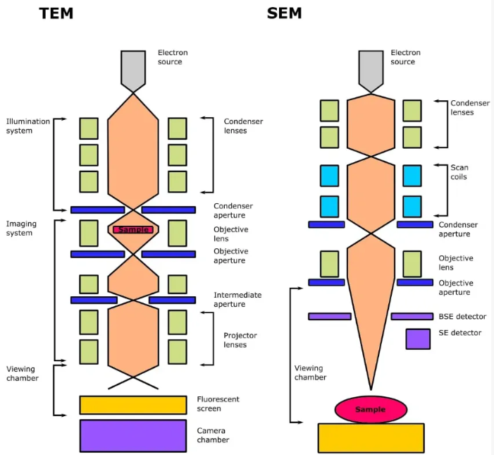 一文看懂扫描电镜（SEM）和透射电镜（TEM）