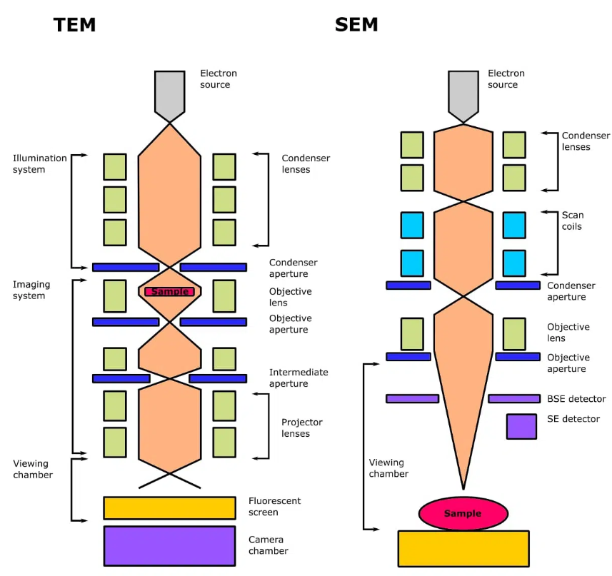 SEM与TEM该如何选择?