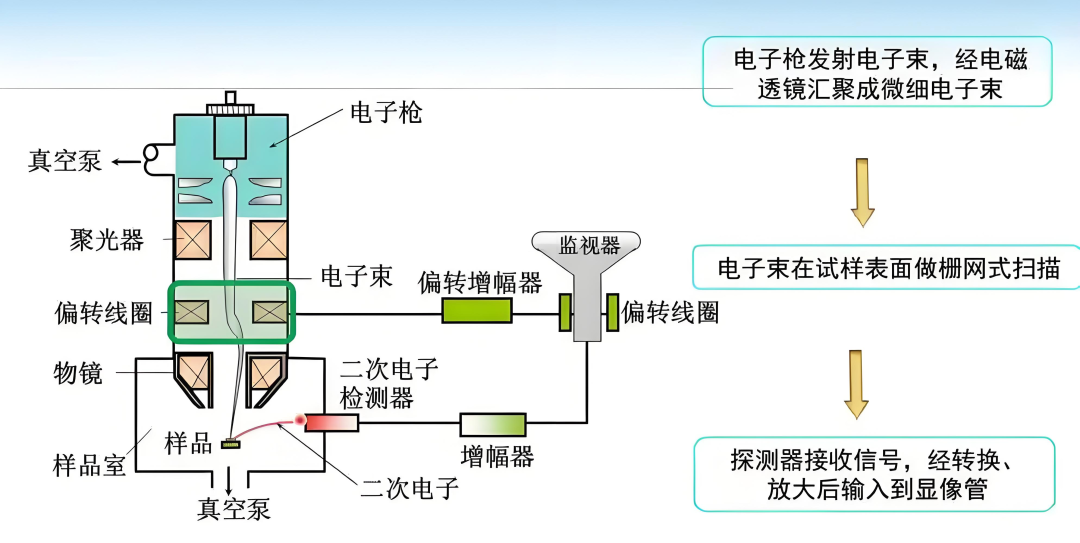 FIB-SEM的常用分析方法