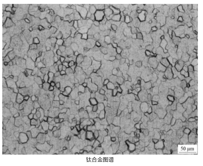 钛合金微观结构表征：EBSD制样技术的应用与经验分析